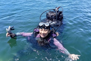 Paracas: Diving - Dive into the sea
