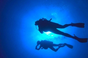 Paracas: Diving - Dive into the sea