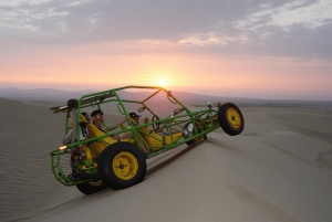 Best tours from Paracas