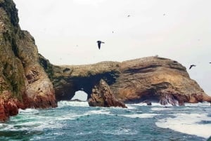 Paracas: rondleiding naar de Ballestas-eilanden en trekking bij zonsondergang