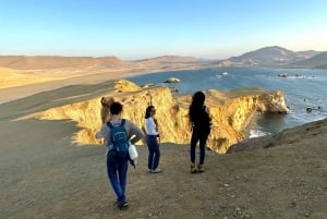 Paracas: rondleiding naar de Ballestas-eilanden en trekking bij zonsondergang