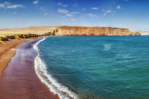 Paracas: Mini Buggy Ride in Paracas National Reserve