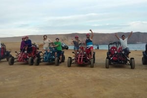 Paracas: przejażdżka mini buggy w Rezerwacie Narodowym Paracas
