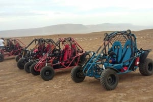 Paracas: Mini buggy-tur i Paracas nationalreservat