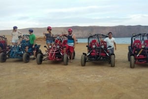 Paracas: giro in mini buggy nella Riserva Nazionale di Paracas