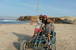 Paracas: Mini buggy-tur i Paracas nationalreservat