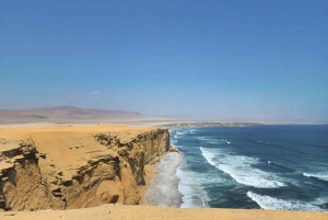 Paracas National Reserve Guided Tour
