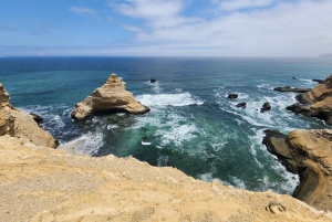 Paracas National Reserve Guided Tour