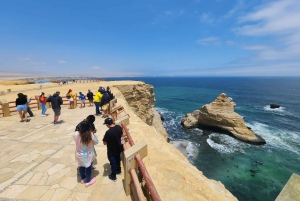 Paracas National Reserve Guided Tour