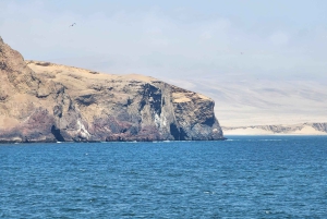Paracas National Reserve Guided Tour