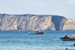 Paracas National Reserve Guided Tour