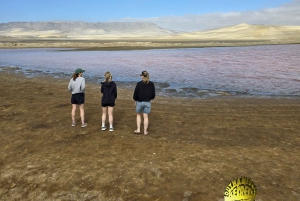 Paracas:Private Tours Paracas National Reserve all inclusive