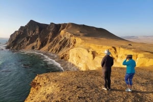 Paracas:Private Tours Paracas National Reserve all inclusive