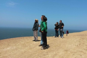 Paracas:Private Tours Paracas National Reserve all inclusive