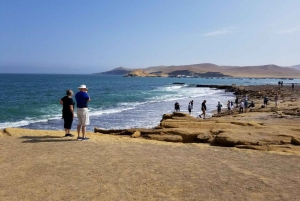 Paracas:Private Tours Paracas National Reserve all inclusive