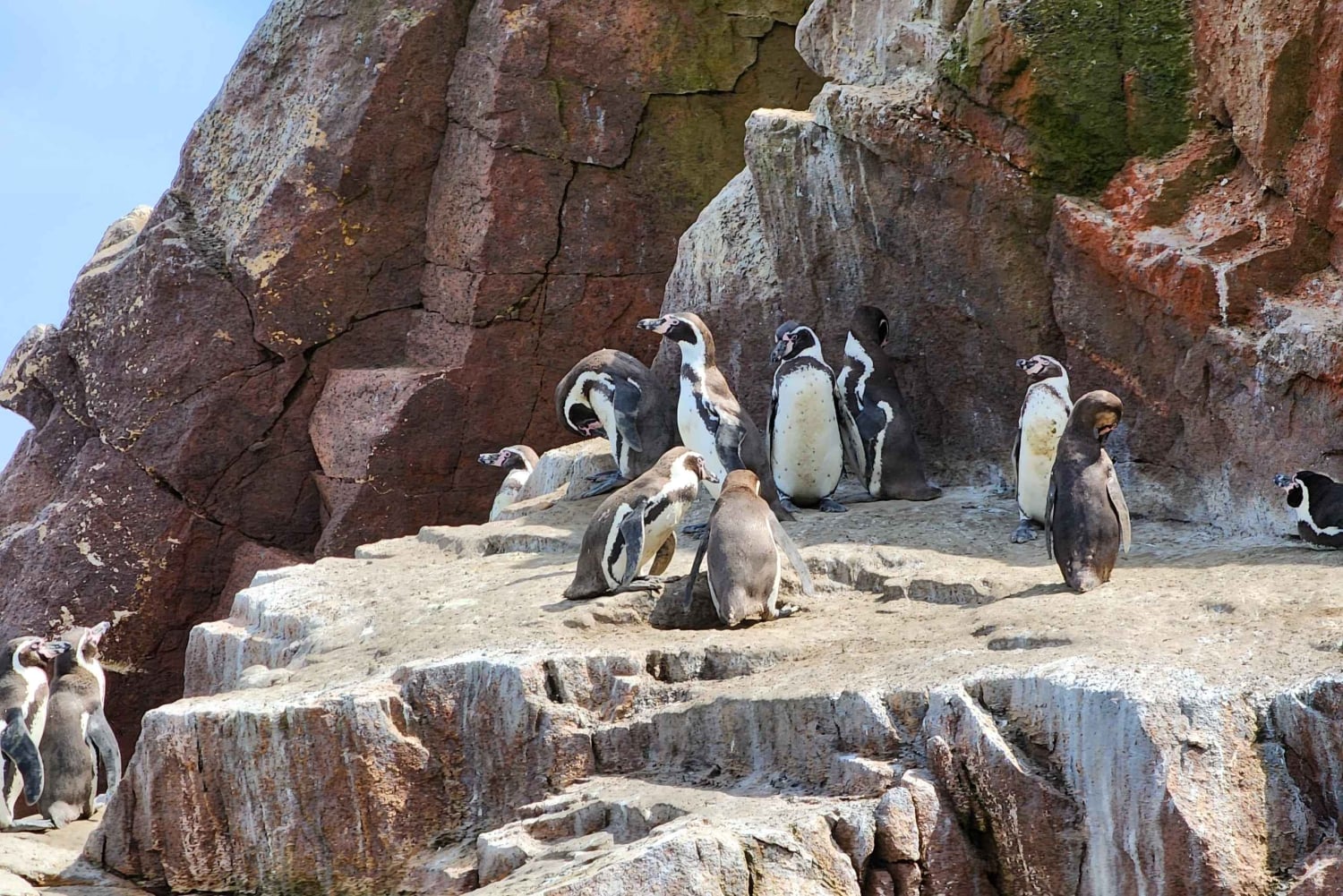 パラカス自然保護区、バレスタス諸島、ワカチナ、砂丘ツアー