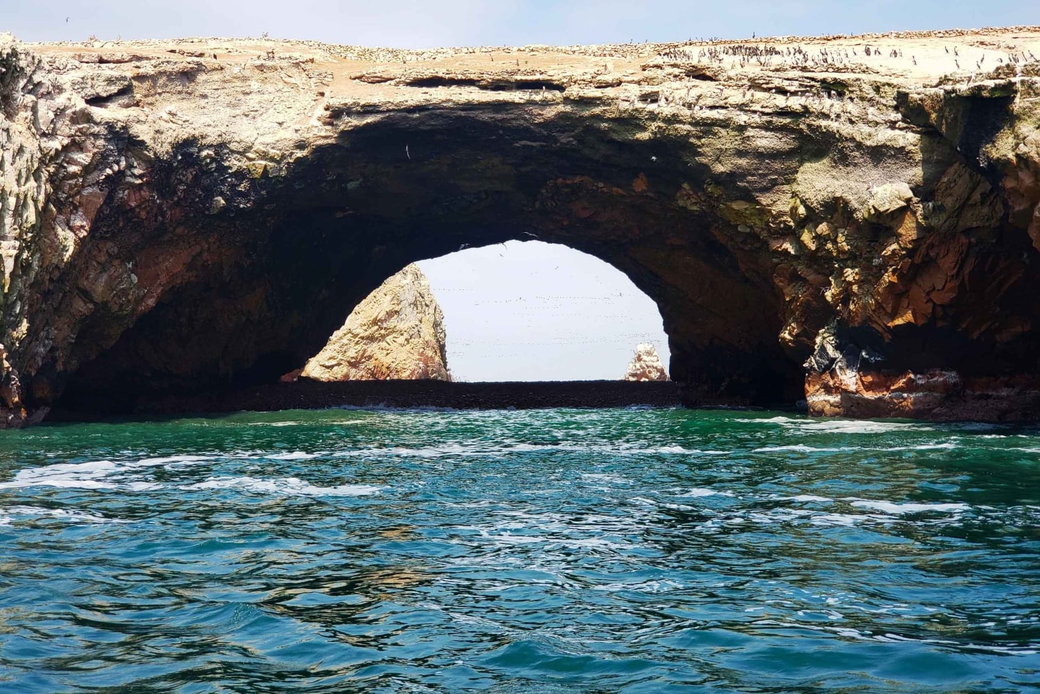 パラカス自然保護区、バレスタス諸島、ワカチナ、砂丘ツアー