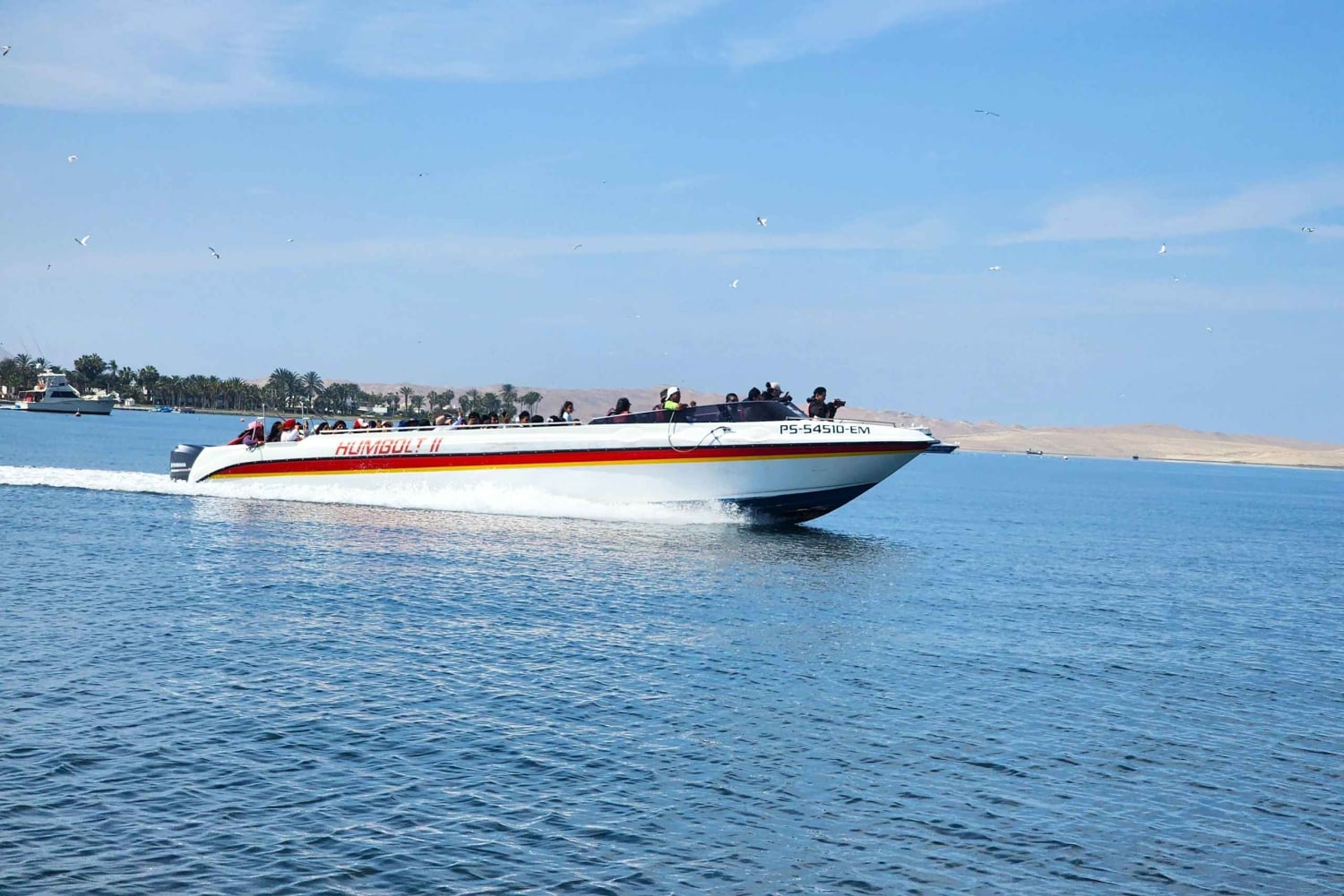 Paracas Reserve, Ballestas Islands, Huacachina & Dunes Tour