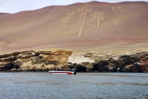 パラカス自然保護区、バレスタス諸島、ワカチナ、砂丘ツアー