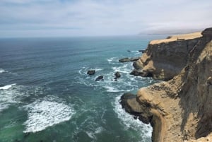 パラカス自然保護区、バレスタス諸島、ワカチナ、砂丘ツアー