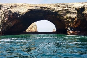 Paracas Reserve, Ballestas Islands, Huacachina & Dunes Tour