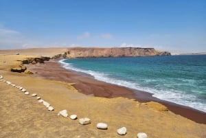 Paracas Reserve, Ballestas Islands, Huacachina & Dunes Tour