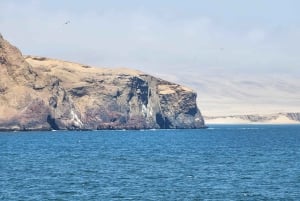 Paracas Reserve, Ballestas Islands, Huacachina & Dunes Tour