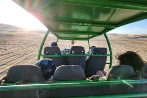 Paracas Reserve, Ballestas Islands, Huacachina & Dunes Tour