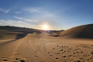 Paracas Reserve, Ballestas Islands, Huacachina & Dunes Tour