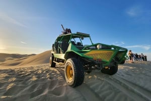 Paracas Reserve, Ballestas Islands, Huacachina & Dunes Tour