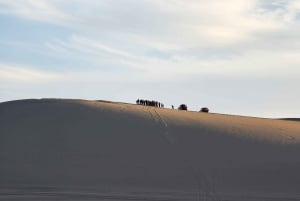 Paracas Reserve, Ballestas Islands, Huacachina & Dunes Tour