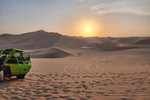 Paracas Reserve, Ballestas Islands, Huacachina & Dunes Tour