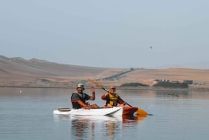 Paracas Reserve: Kayaking Ecotourism Experience