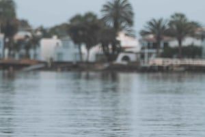 Paracas Reserve: Kayaking Ecotourism Experience