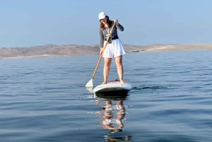 Paracas Reserve: Kayaking Ecotourism Experience