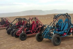Terrengekspedisjon i Paracas-reservatet - buggy eller firehjuling
