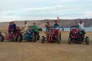 Expedição off-road à Reserva de Paracas - Buggy ou Quadriciclo