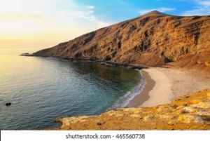 Paracas Reserve: Scenery, Wildlife & History