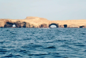 Paracas: Korte excursie naar Ballestas eiland | Zeeleeuwen |