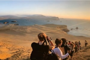 Paracas: Sunset Trek in Paracas National Reserve