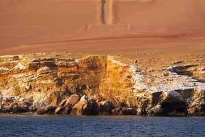Paracas Total: Isole Ballestas e Riserva Nazionale in un solo giorno