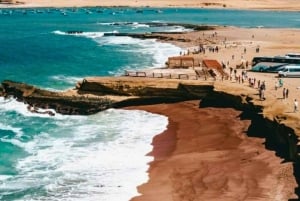 Paracas Total: Isole Ballestas e Riserva Nazionale in un solo giorno
