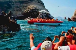 Paracas Total: Isole Ballestas e Riserva Nazionale in un solo giorno