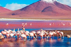 Perú och Bolivia 16 dagar 15 nätter