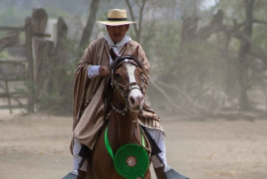 Peru, Chiclayo: 1 day horseback riding and Ancient Pyramids