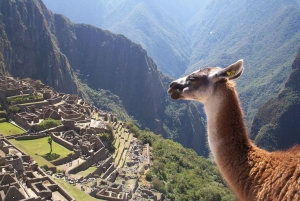 Peru: Chokolade, mad og højdepunkter tur