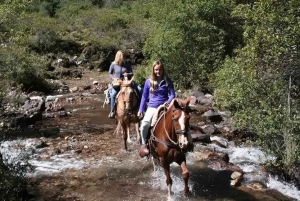 Peru: Enchanting 2-Hour Horse Ride in Yanahuara Village