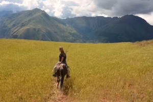 Peru: Enchanting 2-Hour Horse Ride in Yanahuara Village