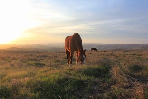 Peru: Enchanting 2-Hour Horse Ride in Yanahuara Village