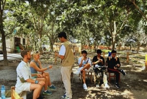 Peru's Andean Circuit: Lima to Ica with Nazca, Arequipa, and Puno in 7 days